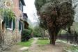 Rustico in vendita con giardino a Greve in Chianti in via della montagnola 190 - 02, Foto 2