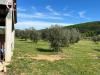 Villa in vendita a Gavorrano in strada provinciale collacchia snc - 08, Foto 8