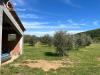 Villa in vendita a Gavorrano in strada provinciale collacchia snc - 09, Foto 9