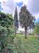Villa in vendita con giardino a Monte San Savino in localit somboli 210 - 04, Foto 4