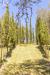 Rustico in vendita con giardino a Rignano sull'Arno in localit volognano 10 - 05, Foto 5