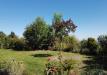 Casa indipendente in vendita con giardino a Castagneto Po in strada della marca - 07, GIARDINO