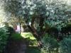 Villa in vendita con giardino a Trenzano in via enrico fermi 1 - 08