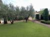Villa in vendita con terrazzo a Pietrasanta - 03