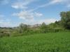 Terreno Agricolo in vendita a Spoltore in ss16 bis - 03, Foto 3