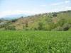 Terreno Agricolo in vendita a Spoltore in ss16 bis - 06, Foto 6