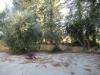 Casa indipendente in vendita con giardino a Spoltore in via dei peschi 13 - 09, Foto 9