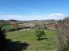 Terreno Agricolo in vendita a Bibbona - 05, 20210503_150949.jpg