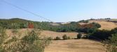Terreno Agricolo in vendita a Montecatini Val di Cecina - 02, 20220721_103427.jpg