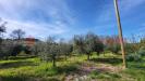 Terreno Agricolo in vendita a Bibbona - 03, 20240405_164754.jpg