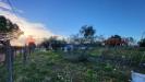 Terreno Agricolo in vendita a Cecina - 09, 20231117_155903.jpg