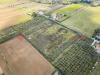 Terreno Agricolo in vendita a Rosignano Marittimo - 08, 2.jpg