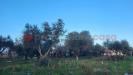 Magazzino in vendita a Cecina - 05, 20231117_155459.jpg