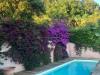 Villa in vendita con giardino a Massa - 02