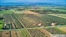 Terreno Agricolo in vendita a Piombino - riotorto - 03