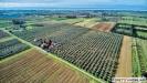 Terreno Agricolo in vendita a Piombino - riotorto - 04