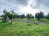 Terreno Agricolo in vendita a Campiglia Marittima - cafaggio - 03