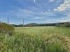 Terreno Agricolo in vendita a Piombino - riotorto - 04