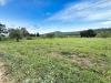 Terreno Agricolo in vendita a Piombino - riotorto - 03