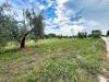 Terreno Agricolo in vendita a Piombino - riotorto - 04
