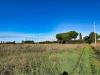 Terreno Agricolo in vendita a Piombino - riotorto - 03