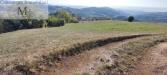 Terreno Agricolo in vendita a Vestenanova - 05, Foto 5