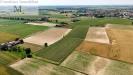 Terreno Agricolo in vendita a Pojana Maggiore - 06, Foto 6