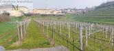 Terreno Agricolo in vendita a Colognola ai Colli - 02, Foto 2