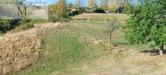 Terreno Agricolo in vendita a Vestenanova - 04, Foto 4