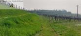 Terreno Agricolo in vendita a Colognola ai Colli - 05, Foto 5