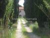 Rustico in vendita con giardino a San Vincenzo in rimigliano - 04