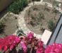 Casa indipendente in vendita con giardino a Campagnatico in via roma - 05, TERRAZZINO