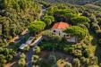 Villa in vendita con giardino a Scarlino in puntone di scarlino - 09, ESTERNI
