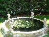 Villa in vendita con giardino a Treviso - 05, giardino