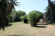 Villa in vendita con giardino a Cascina - san frediano a settimo - 05