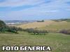 Terreno Agricolo in vendita a Pisa - riglione oratoio - 02