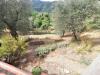 Casa indipendente in vendita con giardino a Lucca - piazzano - 05