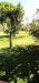 Villa in vendita con giardino a Camaiore - lido di - 05