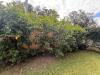 Appartamento in vendita con giardino a Carrara - marina di - 03
