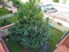 Villa in vendita con giardino a Carrara - bonascola - 03
