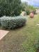 Villa in vendita con giardino a Camaiore - 09