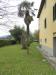 Villa in vendita con giardino a Lucca in via sarzanese 466 - ovest - 05, villa in vendita a lucca (31).JPG