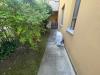 Appartamento in vendita con giardino a Lucca in via delle cornacchie 1277 - est - 06, Appartamento con ingresso indipendente e giardino