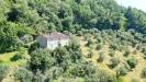 Casa indipendente in vendita da ristrutturare a Lucca in via tofori - 03, vendesi rustico con giardino capannori luccaDJI_0