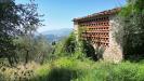 Casa indipendente in vendita da ristrutturare a Lucca in via tofori - 05, vendesi rustico con giardino capannori luccaDJI_0