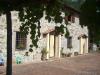 Casa indipendente in vendita con giardino a Buti in viadon aldo mei - 02, CIMG1749.JPG