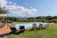 Villa in vendita con giardino a Lucca in via di sant'alessio 1763g - 03, vendesi villa antica con piscina lucca0985b2e7-7b1