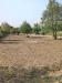 Terreno Agricolo in vendita a Lucca in via per chiatri - 04, foto terreno