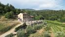 Casa indipendente in vendita a Lucca in via del francia 95 - 03, vendesi rustico con vigneto lucca colline DJI_0575