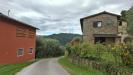 Casa indipendente in vendita con box a Pescia in via casa nuova - 03, vendesi complesso di 2 rustici con piscine uliveto